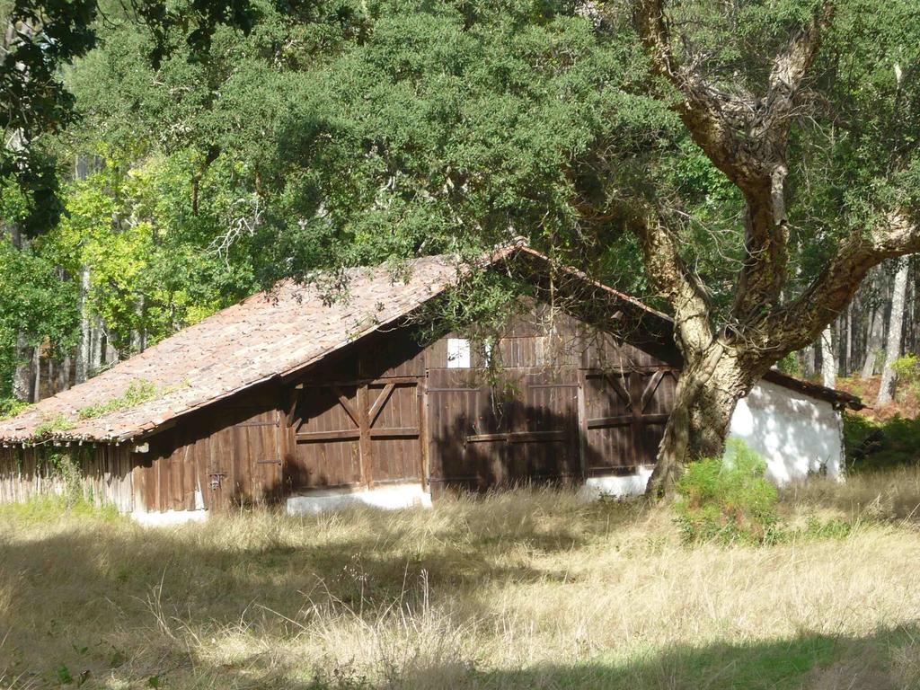 Appartements A Cote Lac Marin De Port D'Albret Vieux-Boucau-les-Bains Exteriör bild
